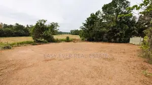 නිට්ටඹුව නගරයෙන් ඉඩමක් විකිණීමට