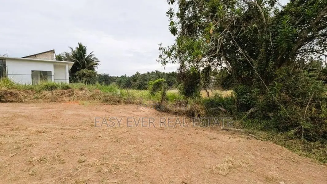 නිට්ටඹුව නගරයෙන් ඉඩමක් විකිණීමට