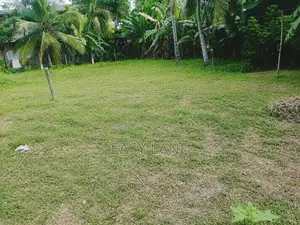 වාද්දූවෙන් ඉඩම්