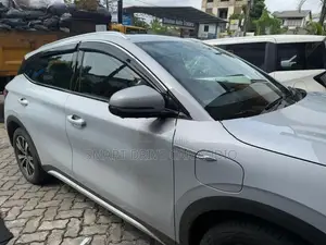BYD Atto 3 Door Visor