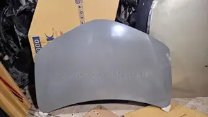Toyota Axio 165 Bonnet