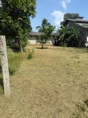 Land for Sale in Wadduwa Pothupitiya