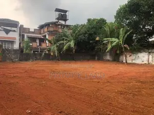 වාද්දුව නගරයට ලගින් බිම් කොටස් විකිනීමට M20