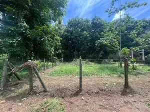 Land for Sale in Welmilla