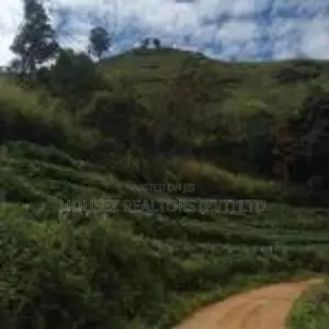 Valuable 10 Acre Property for Sale – Idalgashinna Border Area