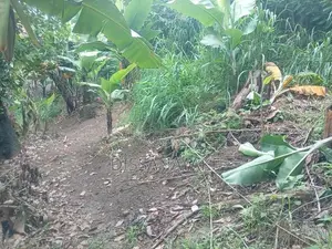 Land for Sale in Badulla City Limit, Pinarawa
