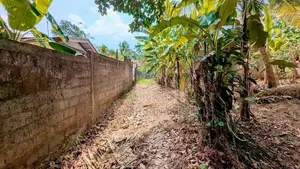 නිට්ටඹුව – නවගමුව පාරෙන් වටිනා ඉඩමක්