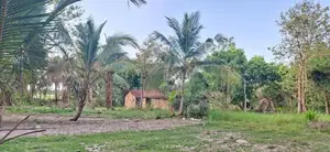 අම්පාරේ හොඳ ස්ථානයක අක්කර 3 ඉඩම