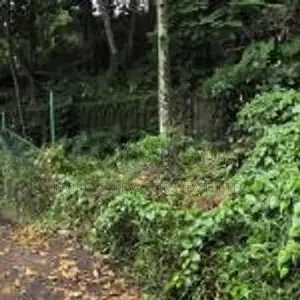 Valuable Land for Sale – Kandy City