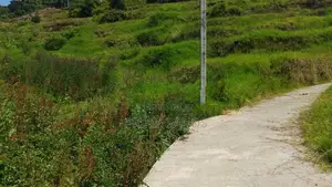Land for Sale in Nuwaraeliya Abewela