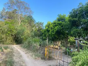 ඇතිමලේ ඉඩමක් සමග ගෙයක් විකිනිමට