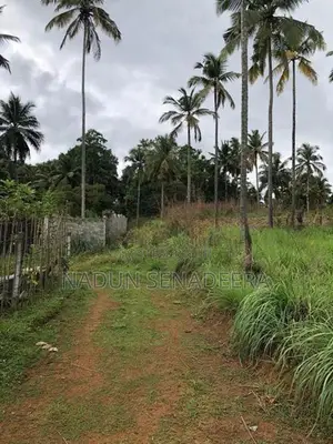 වටිනා ඉඩමක් විකිණීමට – වරකන්ද, මාතලේ