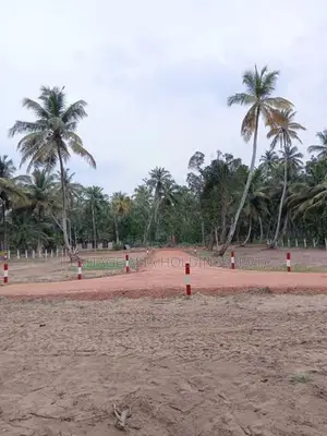 හලාවත බිම් කොටස් විකිණීමට