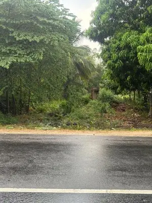 Prime Roadside Land for Sale – Near Lunugamvehera