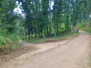Land for Sale Nelundeniya