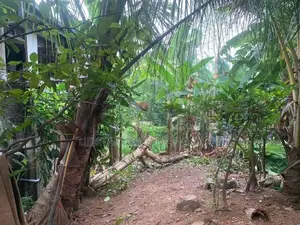 Land for Sale in Kolonnawa Gothatuwa