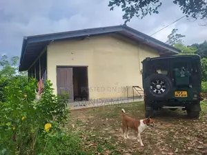 Cinnamon Land for Sale Horagoda Weligama