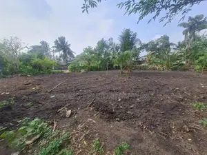 Land for Rent – Ja-Ela, Weligampitiya (Palliya Road)