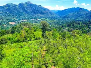189 Acre Estate & 70 Perches Commercial Land for Immediate Sale