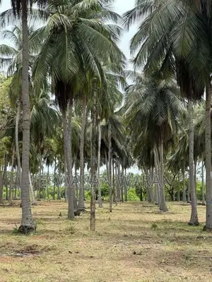 Land for Sale Batticaloa