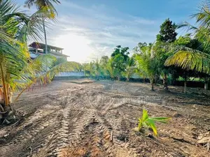 Land for Sale in Tissamaharama Debarawewa – Hambantota