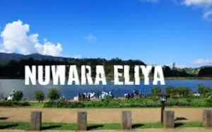 Land for Sale Nuwara Eliya Road
