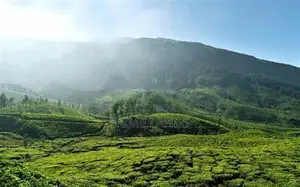 Green View Point Land for Sale Nuwara Eliya Road