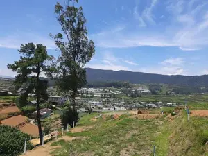 Valuable Land for Sale Nuwara Eliya Meepilimanna
