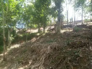 Land for Sale Haliela
