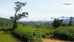New Land for Sale Nuwara Eliya