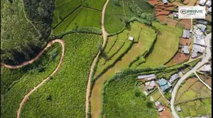 Land for Sale Nuwara Eliya Road