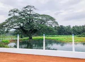 දඹුලු පාරට 100m | සංවර්ධිත සුපිරි බිම් කොටස් u04