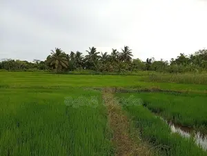 නිස්කලංක පරිසරයක ඉඩමක් විකිණිමට - කතරගම