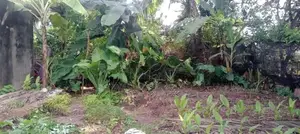 Best Land for Sale Talawathugoda