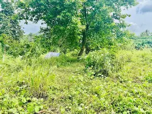Valuable Land for Sale in Athurugiriya