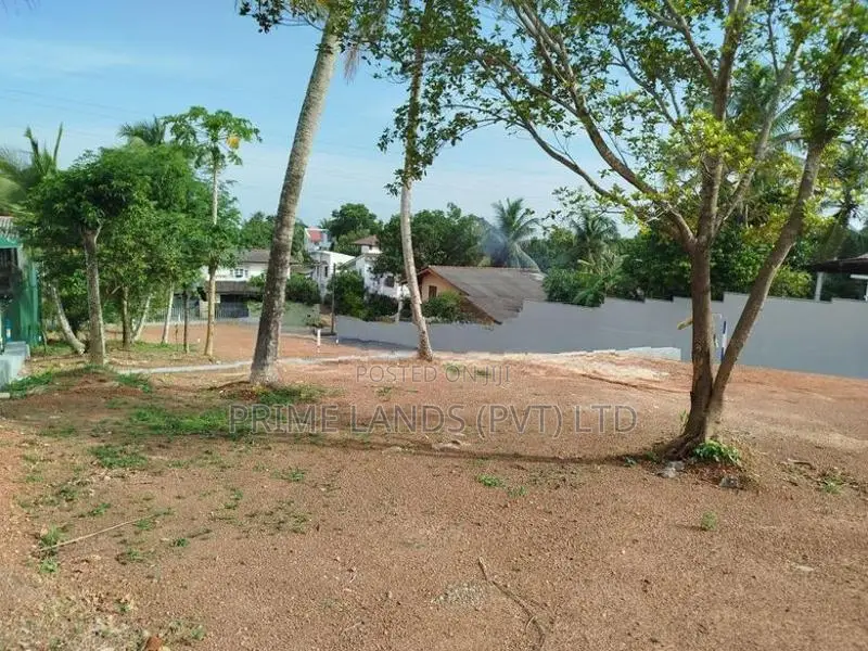 රාජගිරිය හල්ගහදේණිය පාරෙන් බිම් කොටස් විකිණීමට
