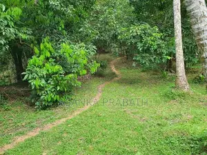 අධිවේගී පිවිසීමට ආසන්න ඉතා සාරවත් ඉඩමක් වැලිගමුව