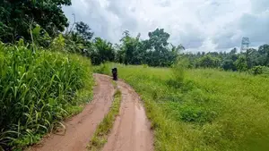 නිට්ටඹුව – කිරිඳිවැල පාරෙන් අගනා ඉඩමක්