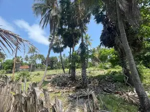 Land for Sale Allaippiddy Jaffna
