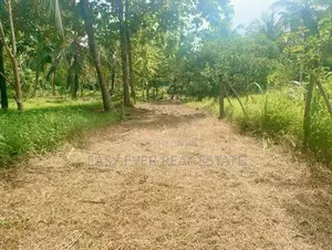දොරනාගොඩ – වඩුවේගම පාරෙන් වටිනා ඉඩමක් විකිණීමට