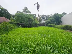20.30P Prime Bare Land For Sale In Rajagiriya