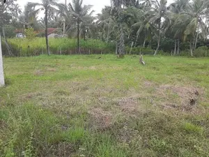 බිංගිරිය ටවුමෙන්ම ඉඩමක්