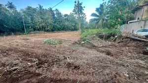 Land for Sale Ella Wellawaya Road, Abagasdowa