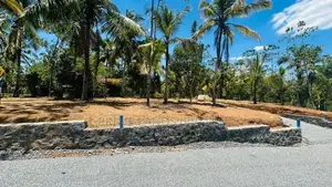 නේවාසික බිම් කොටස් විකිණීම පිලියන්දල