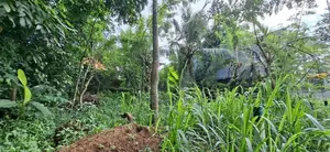 Land For Sale Polgasowita Sri Saranankara Mawatha