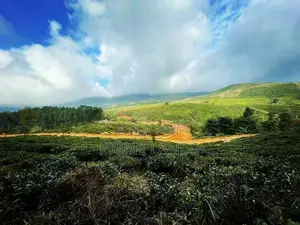 Ramboda Falls Road Nuwaraeliya Land For Sale
