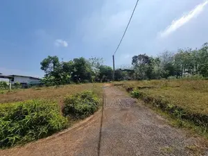 හොරණ තල්ගහවිල පාරට ඇවිද යන දුරින් වටිනා බිම් කොටසක්