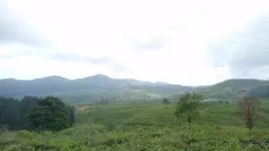 View Point Land For Sale Nuwara Eliya Ramboda
