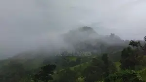 Land for Sale in Bandarawela Kontehela