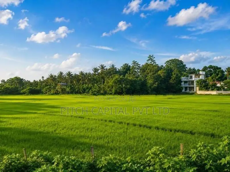 සුන්දර වෙල්යායකට මුහුණලා කහතුඩුවෙන් වටිනා බිම්කොටස්